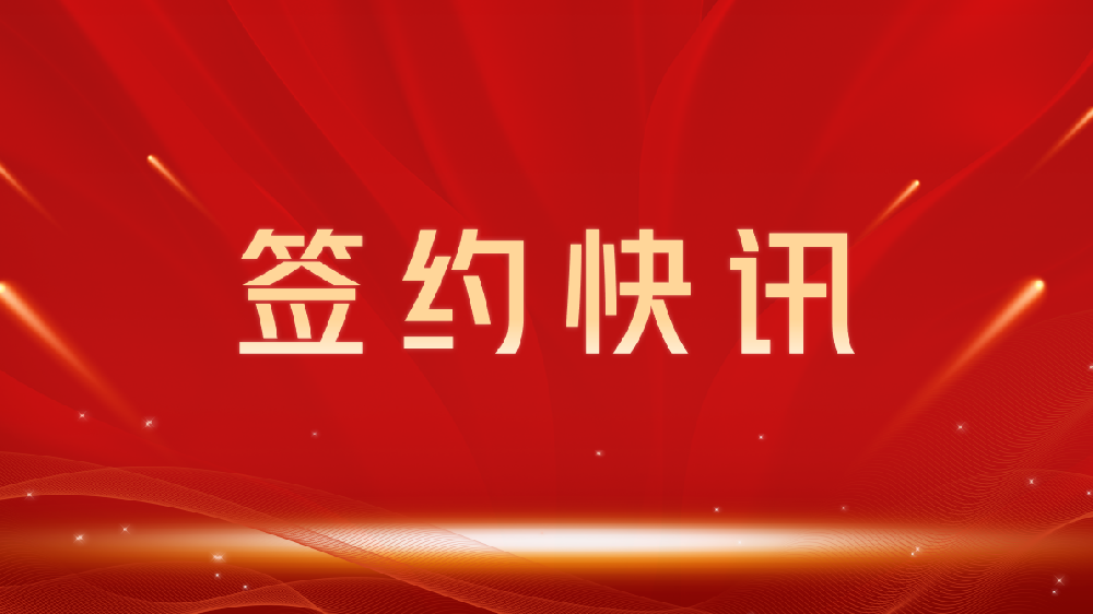 【签约喜讯】助力教育数字化转型，我司与陇南龙图教育集团达成官网建设合作